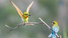 �����Դ�