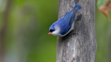 �޶��[--���ϵ�С��