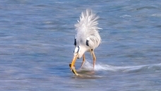 ��һ�¸��ó�