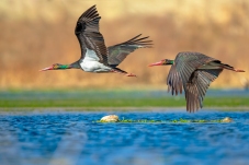 ���ӹ���