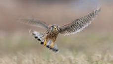 �������������