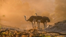 �����.��������