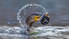 ���������ˡ�----��˲���