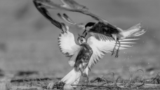 �ü���������������