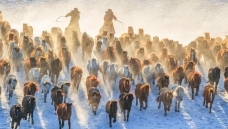 �������    �����³�   ף��ʦ���������!