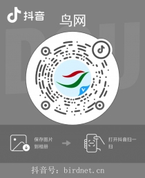 �����ֻ�����ʽ���ߣ�