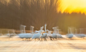 �μӱ�Ư����������ս���и�