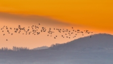 ������ϼ