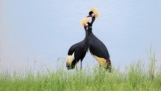 ˽��������