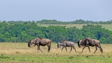 ף��λ��ʦ���꼪��