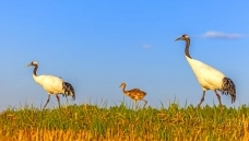 �ػ���ͬ��