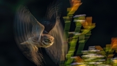 С�^Ѳ��