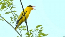 �쾱����