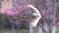 ���ֽ���