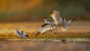 ˮ�Ϸ���