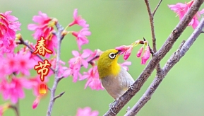 ������֣�