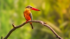 �������