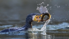 ���������㡷----��˲���