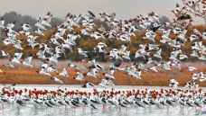 �쾱������