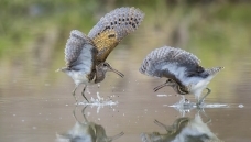 �ƾ�����