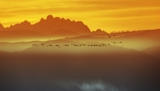 ���ڳ���