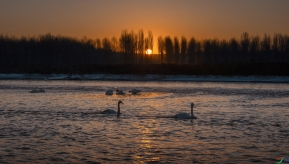 ��Ʊ�Ķ���ͯ��