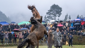 ��ˮ����