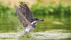 ��β������๽ǣ��������˱��ǻ���