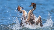 ���ƾ����С�