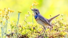 �������