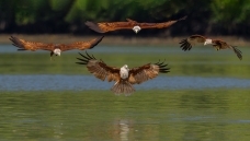 ���б���