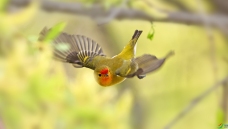 �������䷲�䡷.���ȸ