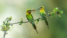 ������ 7