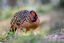 �ӳ�������