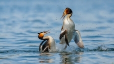 �������