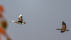 �\����������