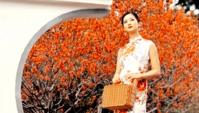 ����ӳ��