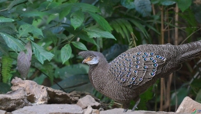 ����һ����������----�ҿ�ȸ��