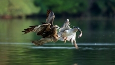 ����һ��