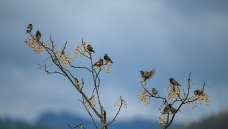 ����ϲ��