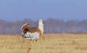 ���������־