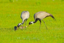 �����������������