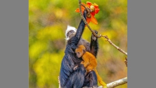 ľ�����ϵľ���