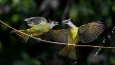 ����ˮƾɶ���úȡ�