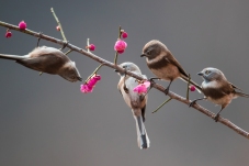 ����ӭ��