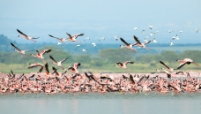 ���Ϸɺ�~ף��λ��ʦ���꼪�����⣡