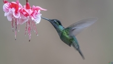 ��������ߵش����