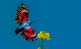 ��������ʮ����