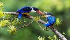 ι��һһ�����