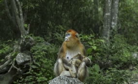 �����������˲��